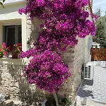 Mediterranean House *